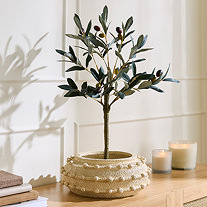 Trending Category - Home Decor - Faux Plant
