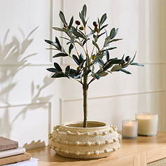 Trending Category - Home Decor - Faux Plant