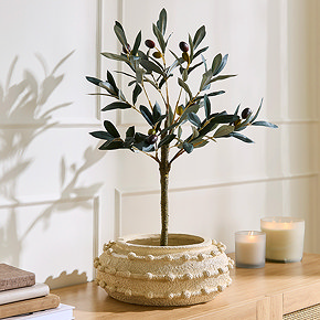 Trending Category - Home Decor - Faux Plant