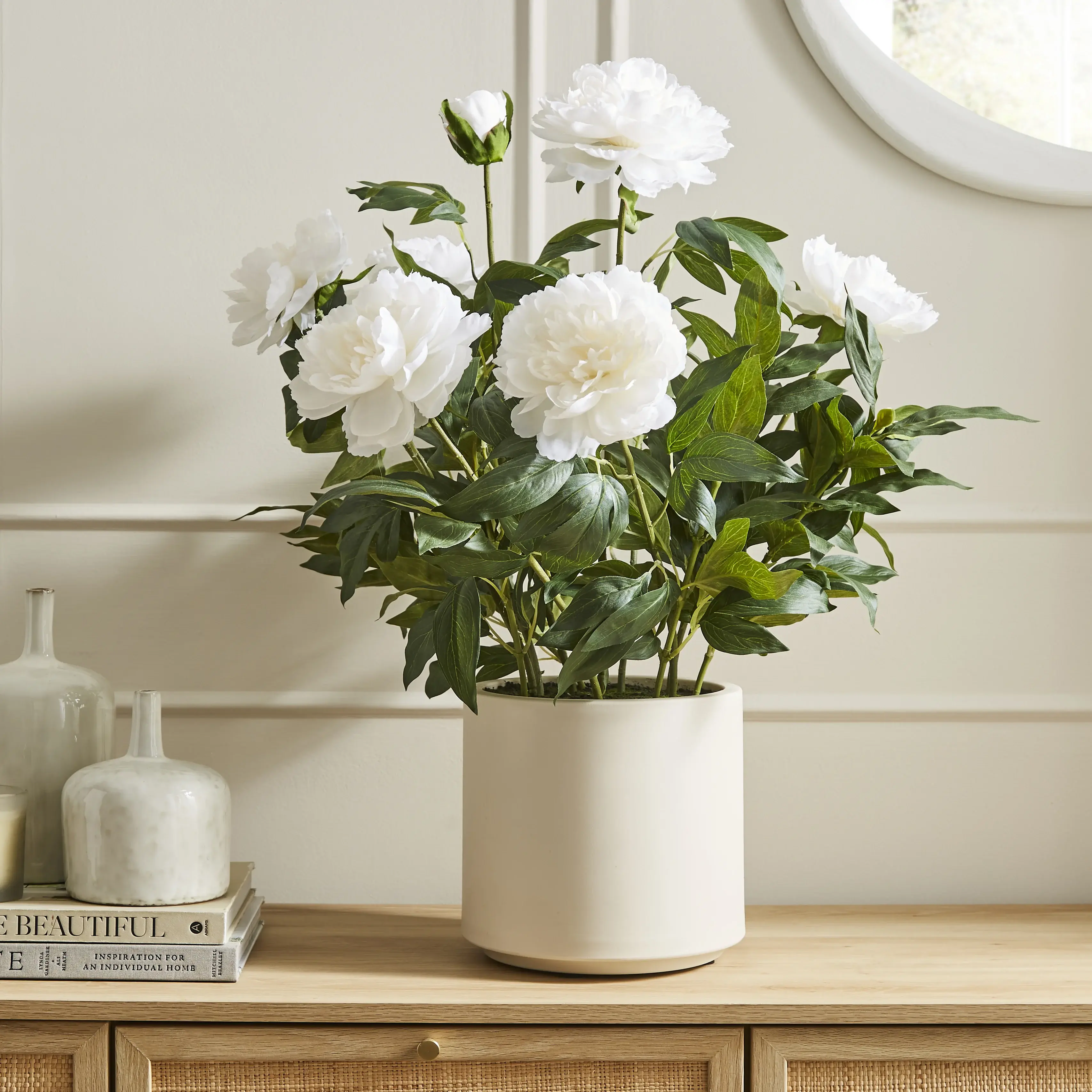 Peony Large Plant in Pot - White