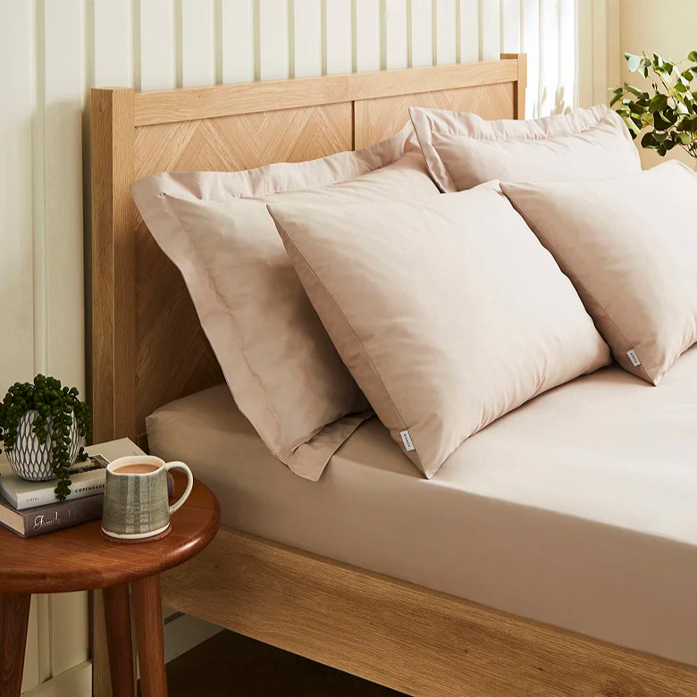 house plant on books on bedside table