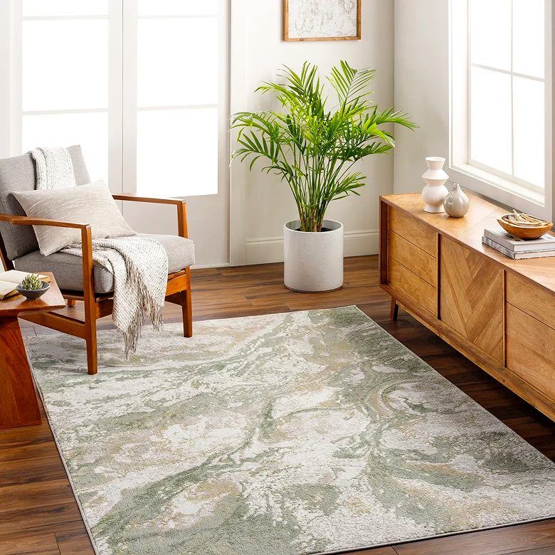 large abstract pet-friendly area rug in living room