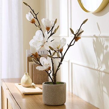 Faux Plants