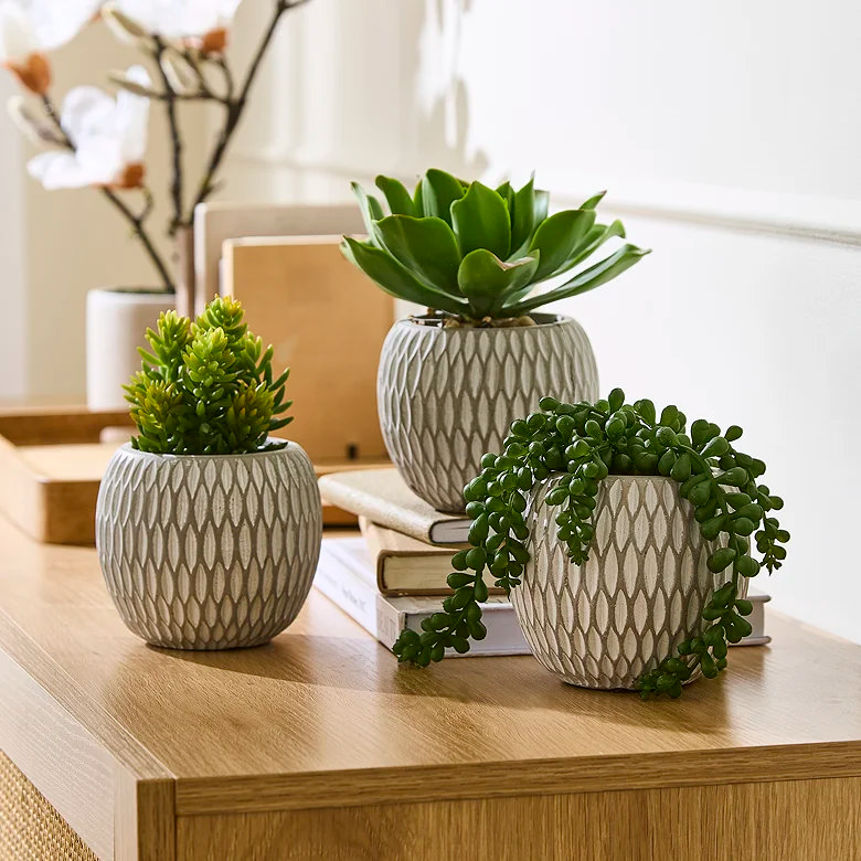three small green faux succulents in green bedroom