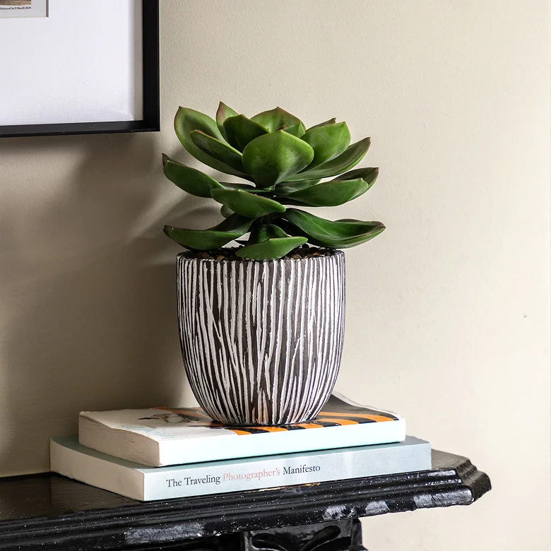 faux succulent in black and white striped pot