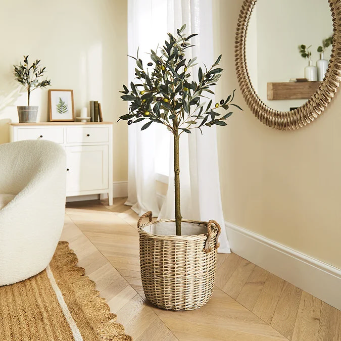 Medium faux olive tree in a wicker basket brightening a neutral living-room corner beside mirror and console.