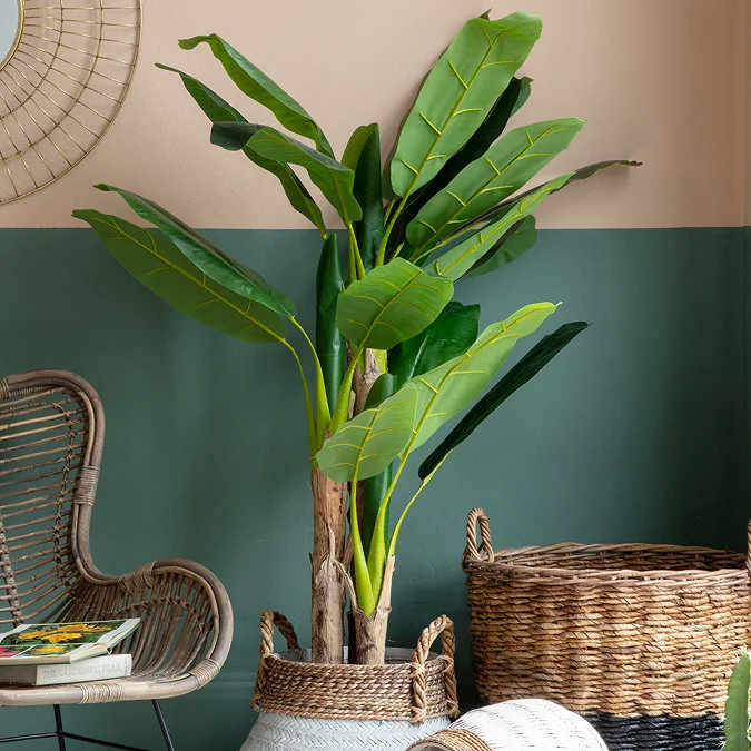 Tall faux banana-leaf plant in a woven basket brightening a reading corner with rattan chair and two-tone green wall.