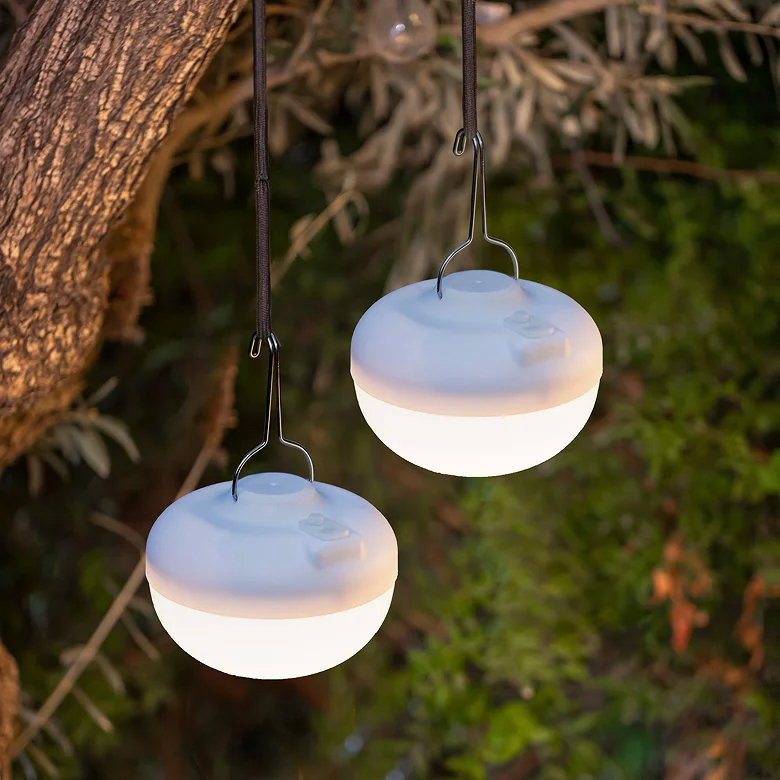 Battery hook lights hanging from a tree branch in a garden
