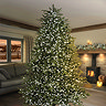 100 Multi Action TreeBright