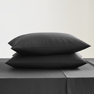 Pair of black square pillowcases