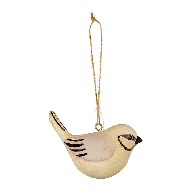 airi bird