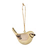 airi bird