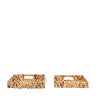 image of pair of rectangle trays, cut out on white background
