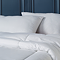 Anti-Allergy Pillow Pair carousel image