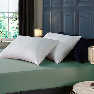 Anti-Allergy Pillow Pair main image