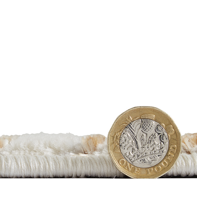 image cut out on white background, close up, on rug laid flat with pound coin stood vertical against it to show rug as half the height of the coin