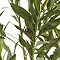 close up image of faux olives and leaves of apulia olive tree