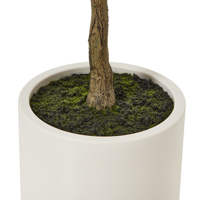 close up on base of faux olive tree in white pot
