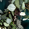 Avery rustic eucalyptus wreath