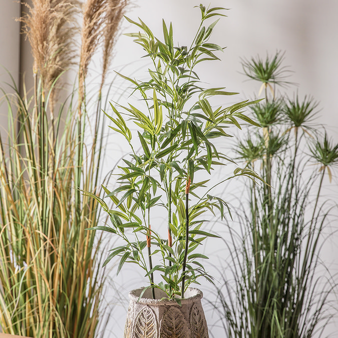 Bamboo small 2
