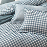 Barton blue image
