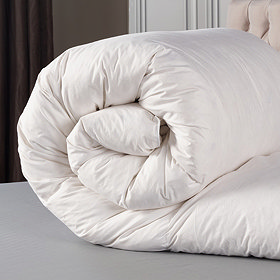 Furniture Image