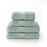 bliss pima spearmint towel image