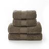 bliss pima walnut towel image