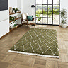 Boho Rug in green on floor image 1