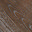 Dark Oak
