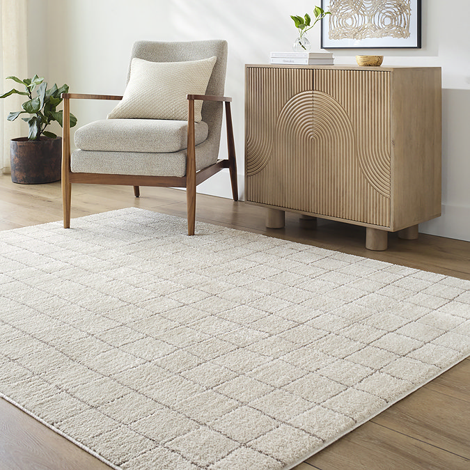 image of square lined ivory rug on light wood flooring of living room