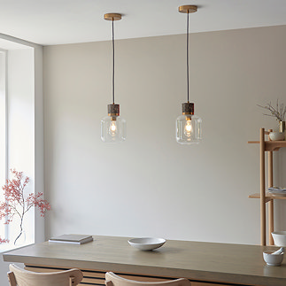 Caspian 1 light pendant