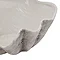 shell image 2