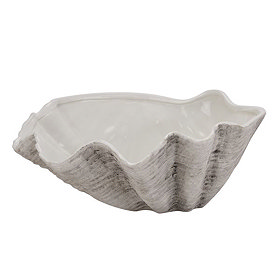 Shell image 1 