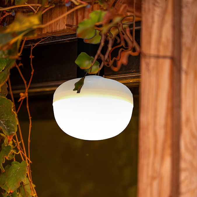 image of single warm white cherry bulb hanging from a tree