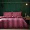 Christmas Nutcracker Stripe Reverse