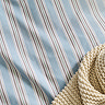 Calder Stripe Blue image