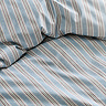 Calder Stripe Blue image