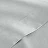 Platinum flat sheet image