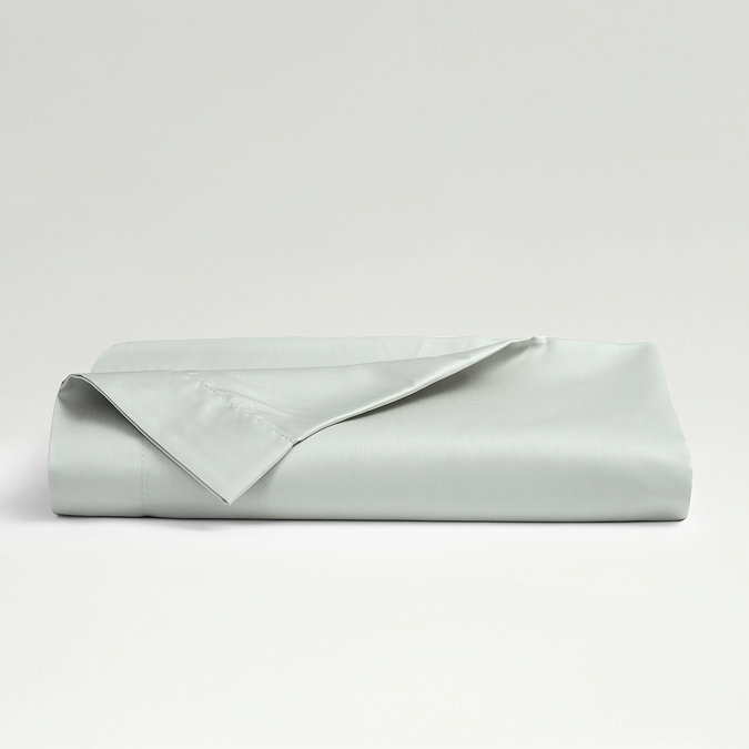 Platinum flat sheet image