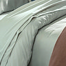 Platinum flat sheet image