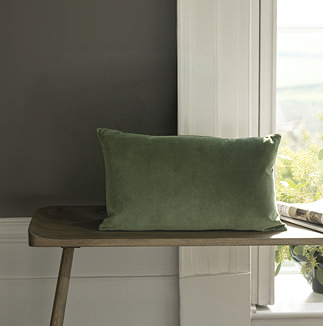 Jaipur Olive