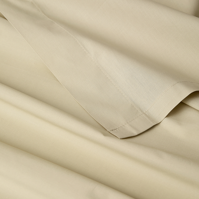 hazelnut flat sheet image
