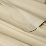 hazelnut flat sheet image