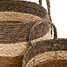 Cleo set of 3 striped baskets in brown