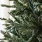 close up on branches of lush green spruce tree