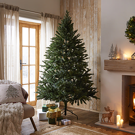 green coniferous spruce tree in the middle of a warmly lit living room