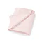 Blush Flat Image 3