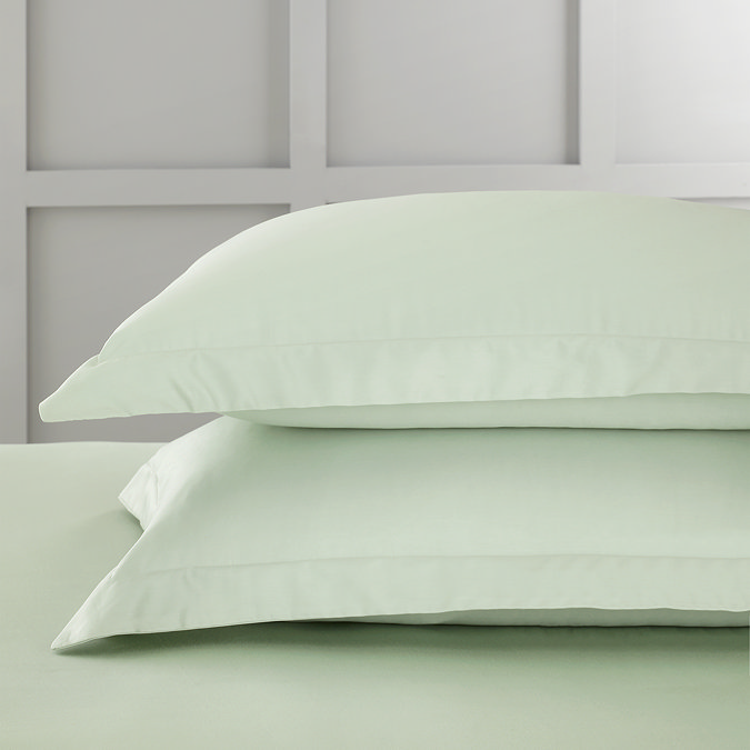 Sage Ox 3