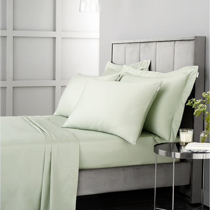 Sage Ox 4